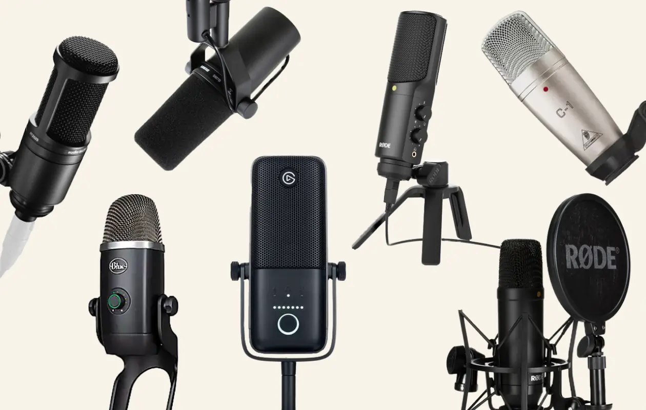 Professional Microphone