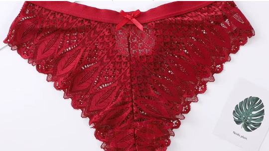 high cut Lace Panties Good Quality Womens Breathable Soft tummy control Briefs Scallop Thong 2024 new lace panties thong