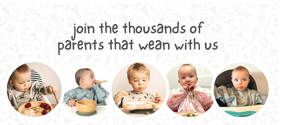 TEENY WEANY Baby Bamboo FEEDING SET Suction Bowl, Plate & Spoon Set | Stay Put Toddler Led Feeding Bowls & Plates