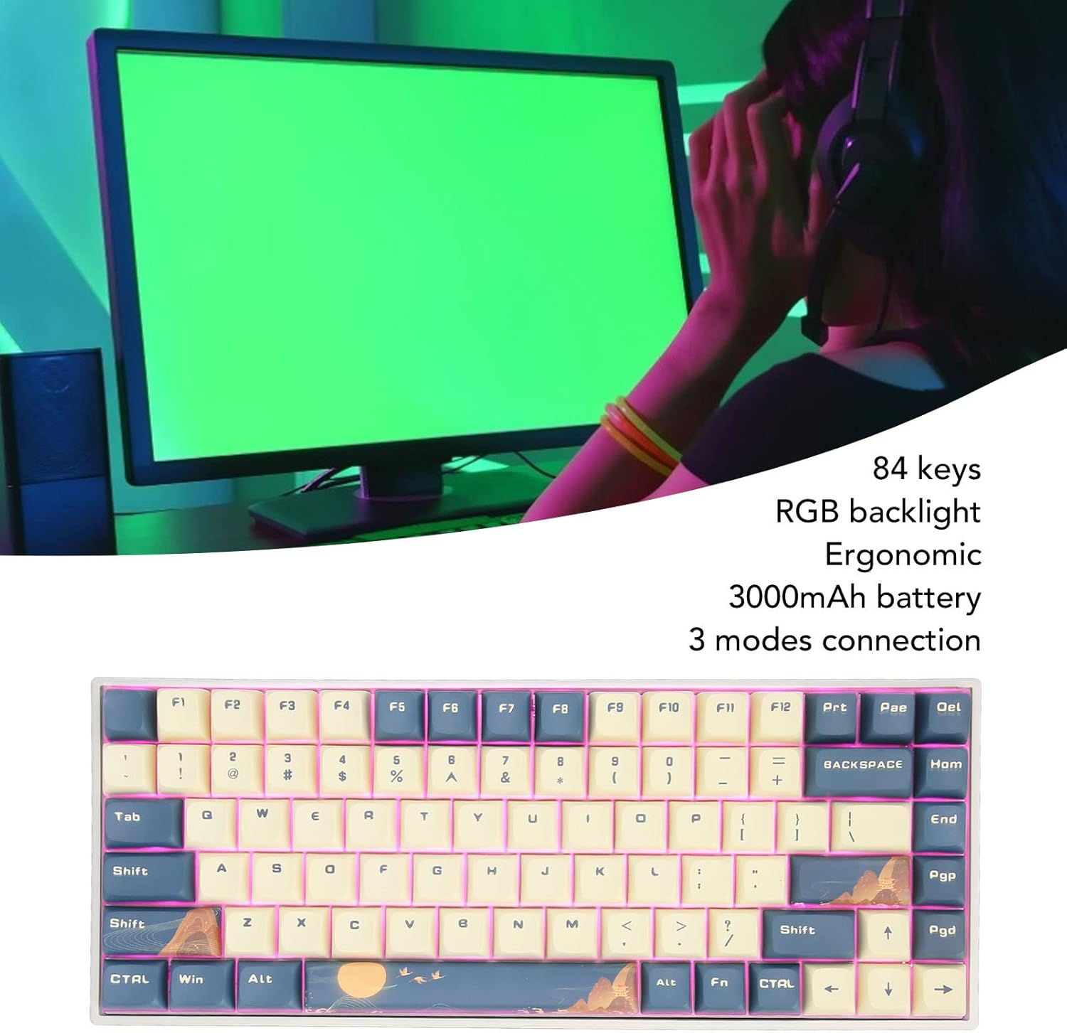 TENP 84 Key Mechanical Keyboard, Blue White Mountain Bird RGB Backlit Wireless Gaming Keyboard For Laptop Computer (Silver Switch)