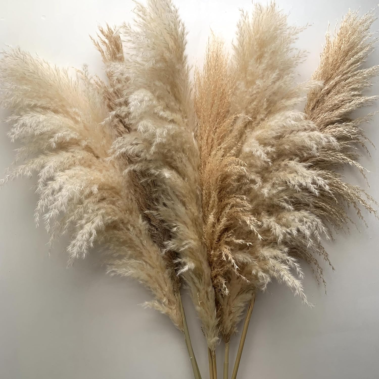 Natural Dried Large Pampas Grass, 47 inches/120 cm tall 6 stems, Extra Large and Fluffy, ideal for minimalism, rustic, boho Home Decor and Weddings, Parties | Natural Beige
