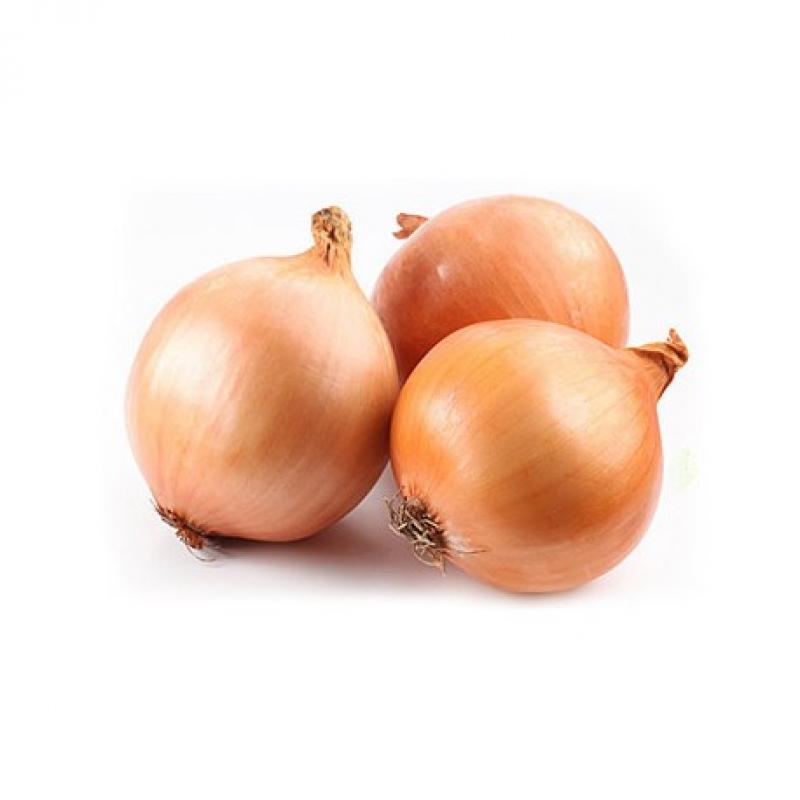 【西班牙】大洋葱 
ONION -SPAIN 20KG/包 YangC
