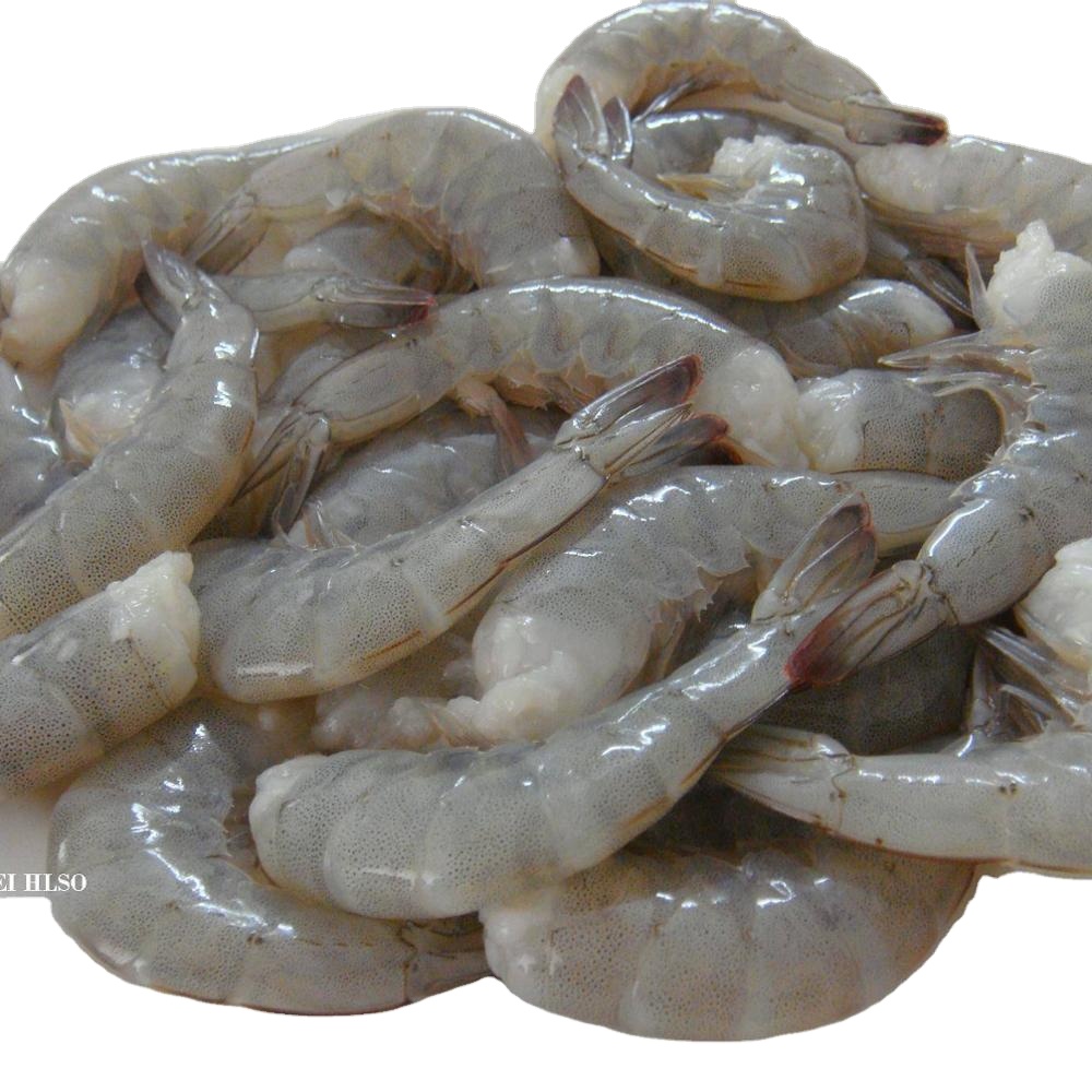 印度虾去头有壳 16/20 H/L S/O SEA WHITE 6X800G 16/20 DongX