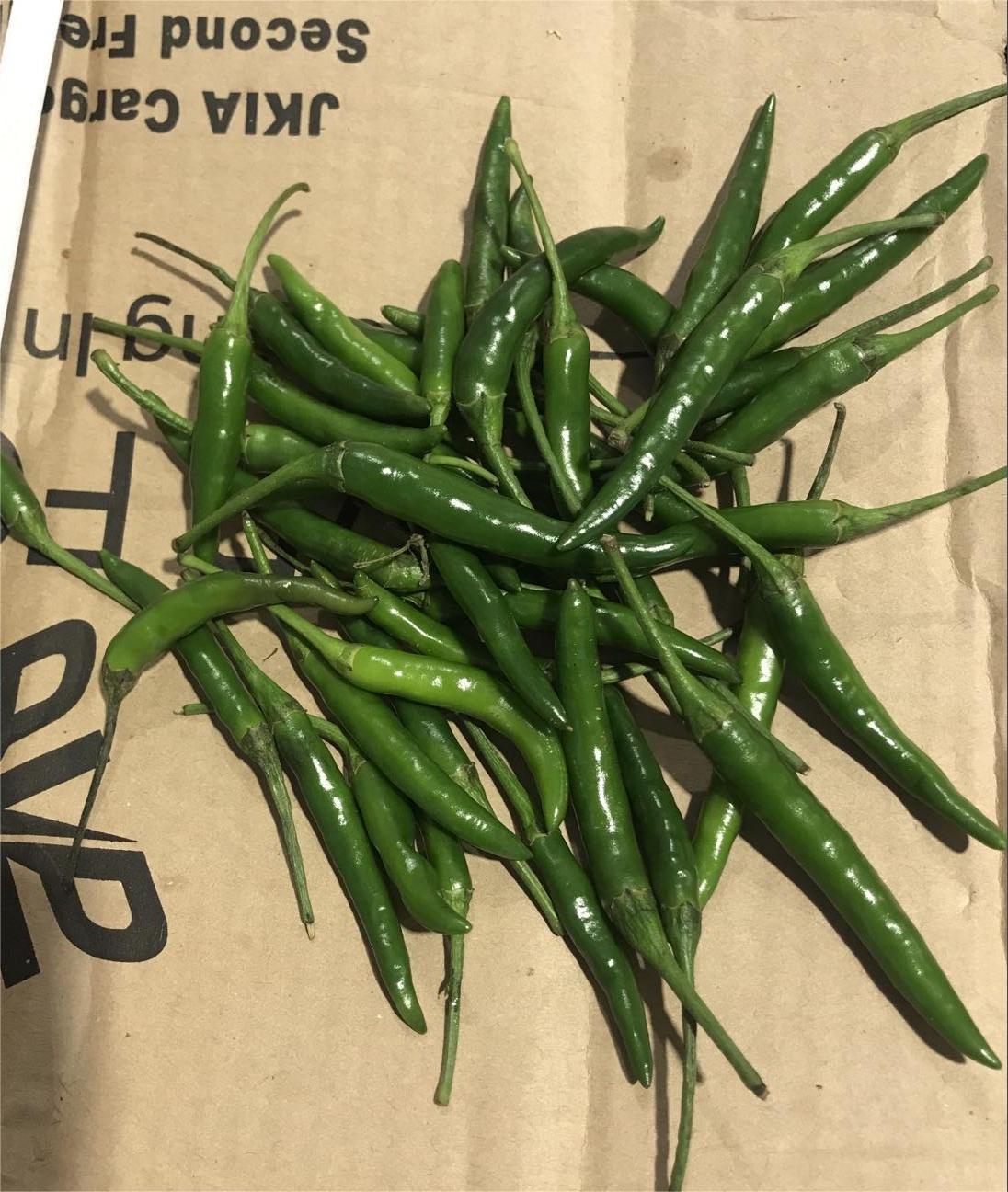 【 泰国绿色小辣椒】Thai green chilli per case   TAIL