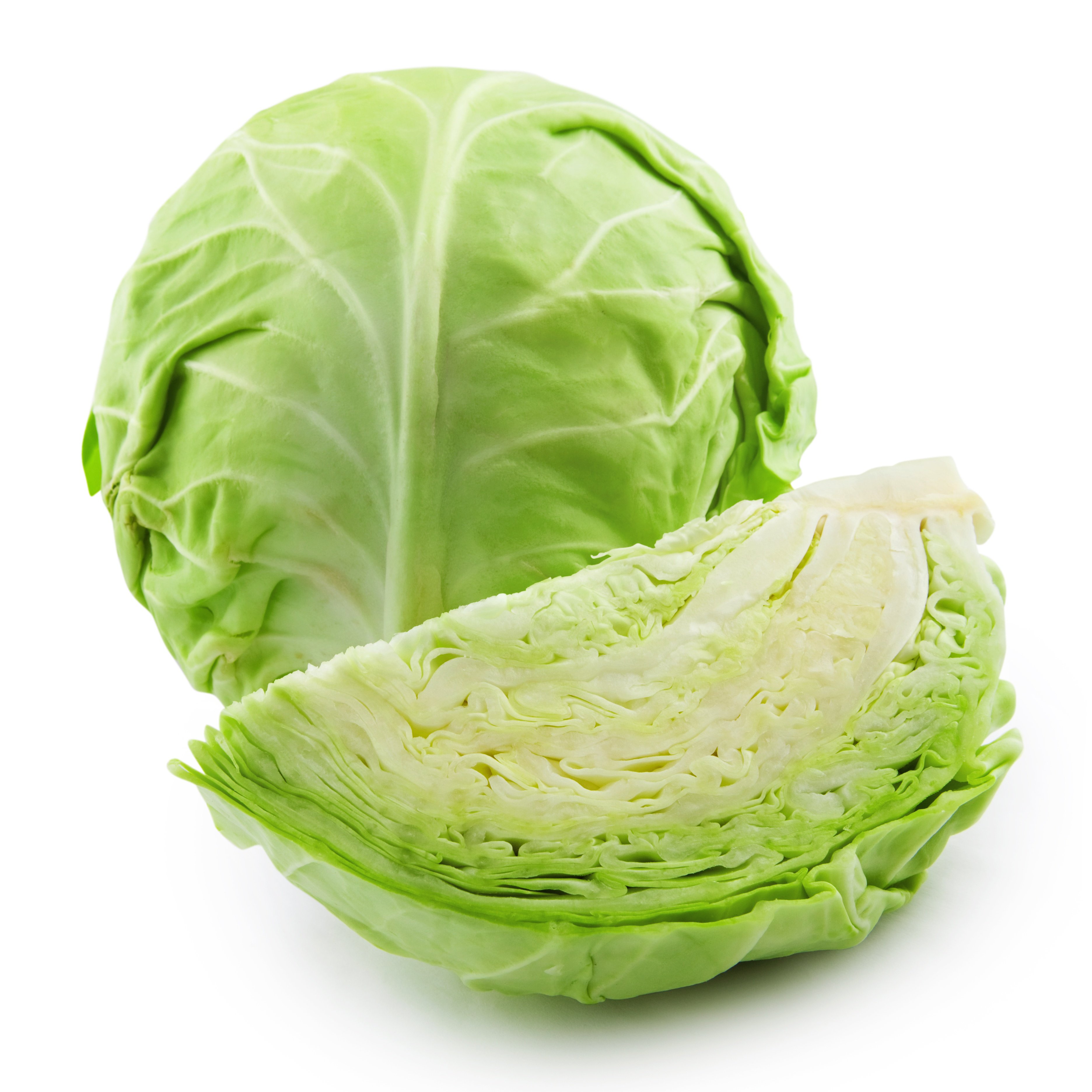 绿野菜 GREEN  CABBAGE  YC