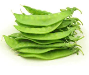 雪豆 Fresh Bean XueD XXX