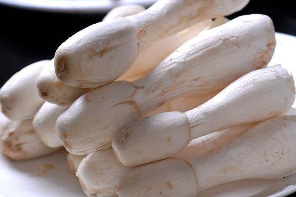 完箱真空包装 鸡腿菇 Mushroom-king Oyster 25X200G vacuum/p  HaoG
