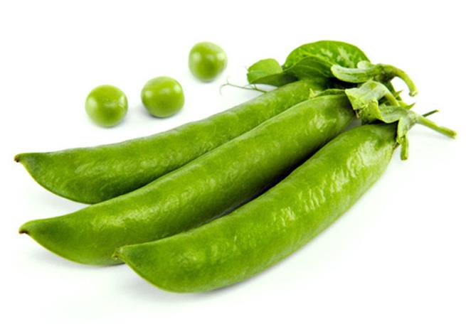 豌豆甜豆 sugar Snap  TianD
