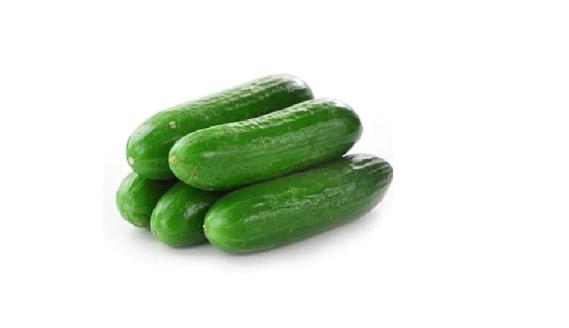 迷你青瓜 MINI CUCUMBER  QingG