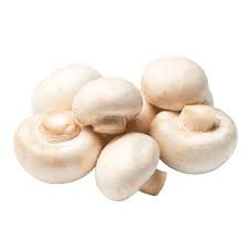 此code已取消xxxxxx

白蘑菇 MUSHROOM cup -small-mid size 2.5kg  MoG