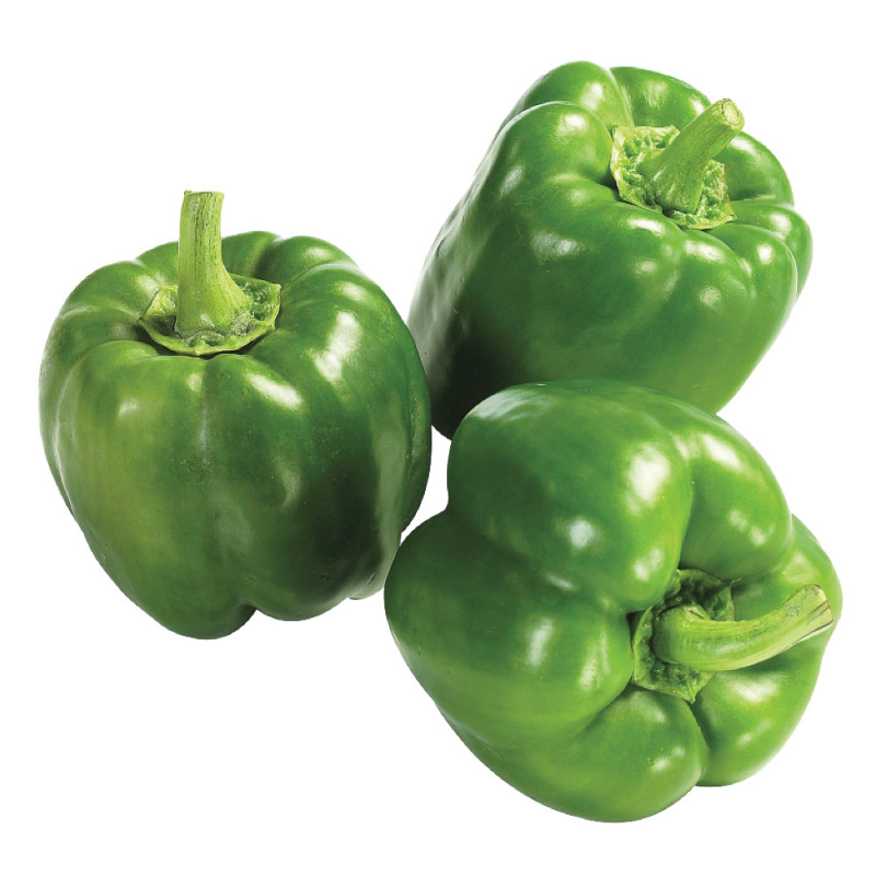 GREEN PEPPER 5kg Q XX iXX XnXgJ