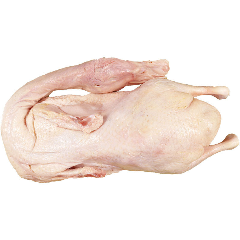 老鸭(以公斤计费) Breeder DUCK2 2.4x6 LaoY