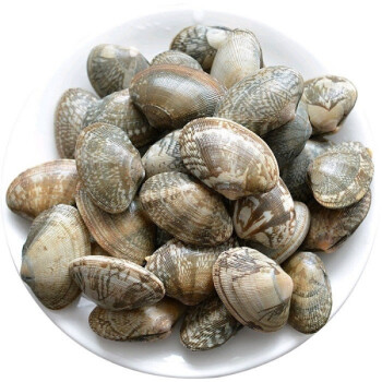 冷冻带壳花蛤 1KG 40/60  454G SHELL ON CLAM （10包/箱) HUAG