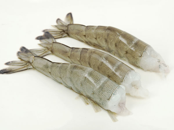 【有壳去頭南美虾】GAVA FOOD 31/35 ECU HLSO VANNAMEI PRAWNS【6X1.8KG】DongX