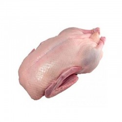 波兰冻鸭 POLISH DUCK 6X3.0KG DongY