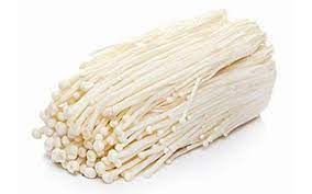 完箱进口金针 ENOKI- 50 package /CASE 50 X100g   JinZG