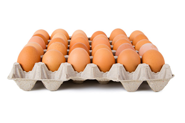 【中号鸡蛋】ALL EGG ( MEDIUM ) 30PS/盘【12盘/箱】 JiD