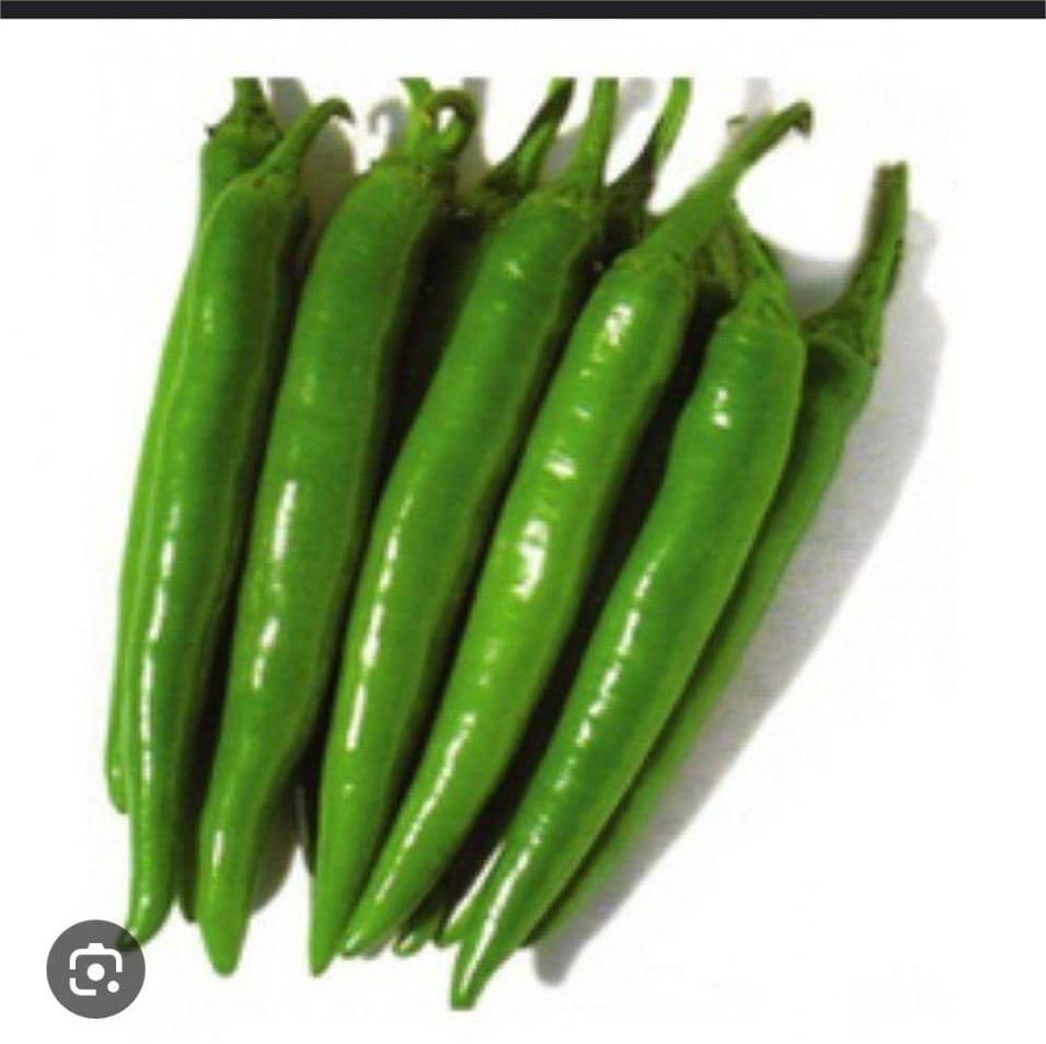 【长绿椒】 Long green chilli per case  QingJ ChangLJ