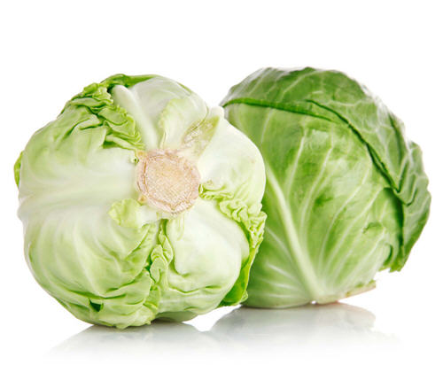 大包紅椰菜 RED Cabbage  YEC