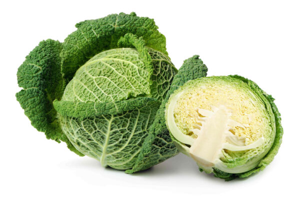 椰菜 Savory Cabbage YC