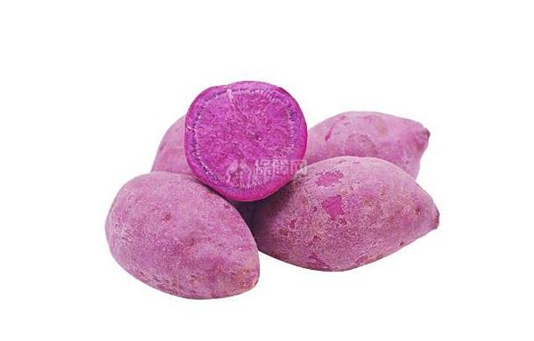 散装紫心番薯地瓜 Retail Purple Sweet POTAO LOOSE   DiG
