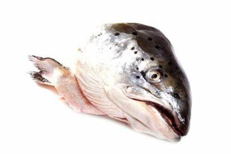 【新鲜三文鱼头】FRESH SALMON HEAD 【每个】 SanWY