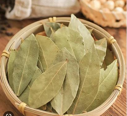 干香叶 BAY LEAVES 1KG/PACK XiangY