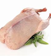 【新鲜鸭（单只）】Fresh Gressingham Duck 【KG】YaZ
