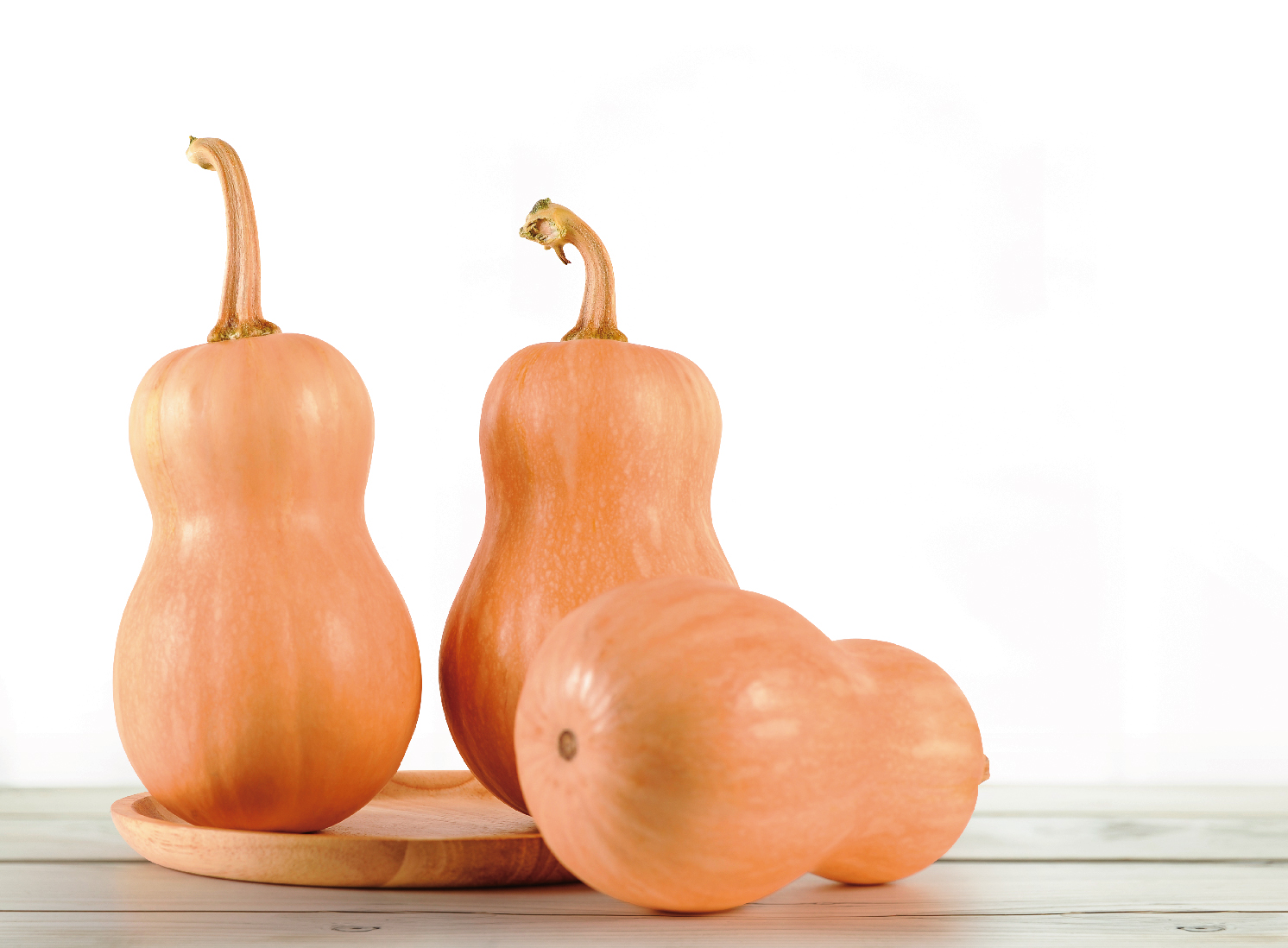 整箱南瓜(葫芦型） BUTTERNUT SQUASH  NanG