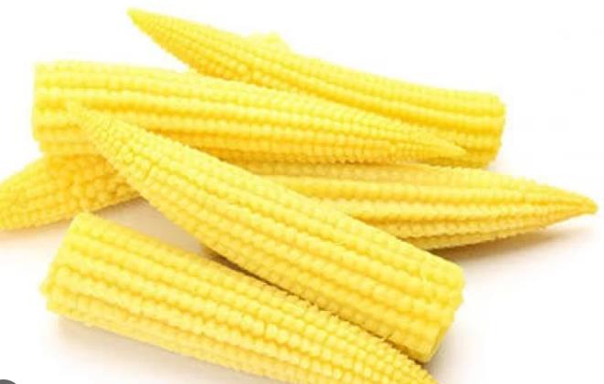【金榕树玉米仔】Golden Banyan Baby Corn【425g*24pack/case】YuMZ