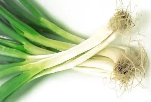 此code已取消xxxxxxxxx
葱仔 SPRING ONION Congz
