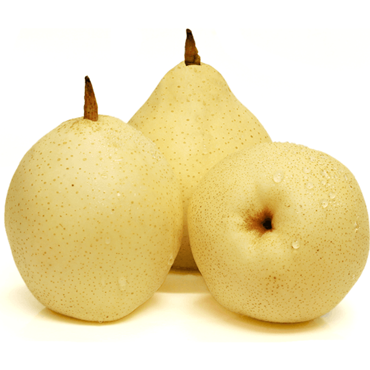 大箱 鸭梨 YA PEAR 4.5kg Li