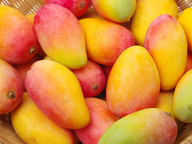 芒果 MANGO  6 S ManG