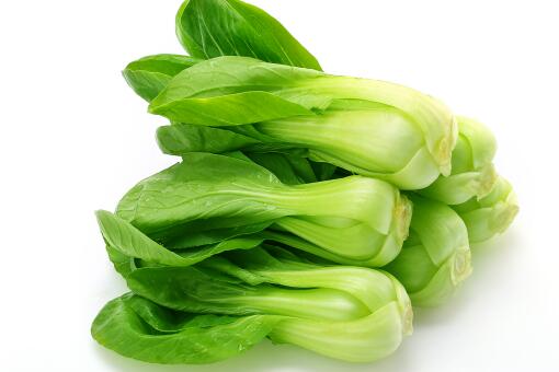 散装青白菜 Retail GREEN PAK CHOI (Euro)-KG QingBC