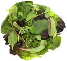 沙拉叶 BABY MIX LEAF 5500G shaLY